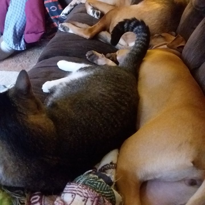 20181105_090405.jpg