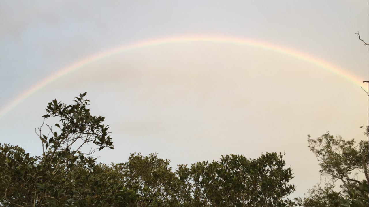 83AA2736-2875-4AC7-BE07-5A02B2156D4F.png