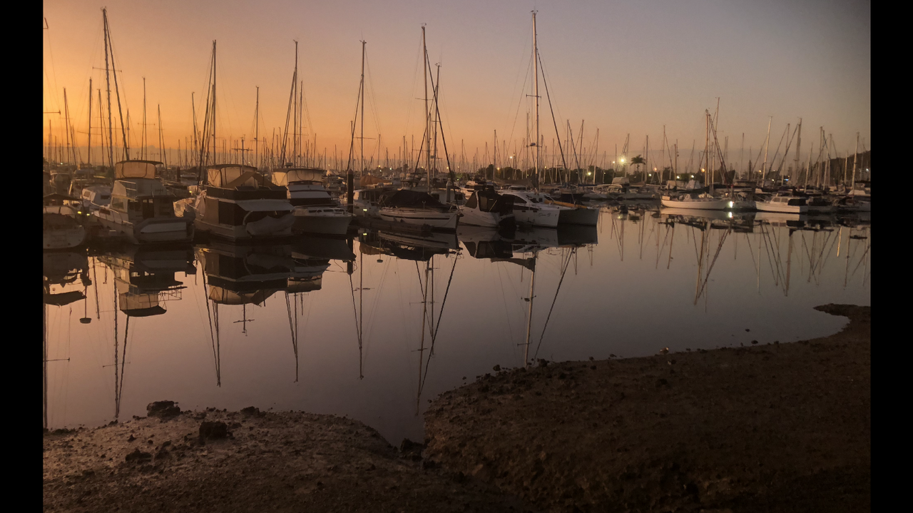 IMG_9003.png