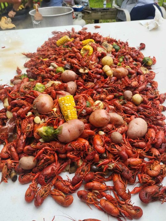 Crawfish2.thumb.jpg.ca1f86f9fd90890343f1288cfc0e066e.jpg